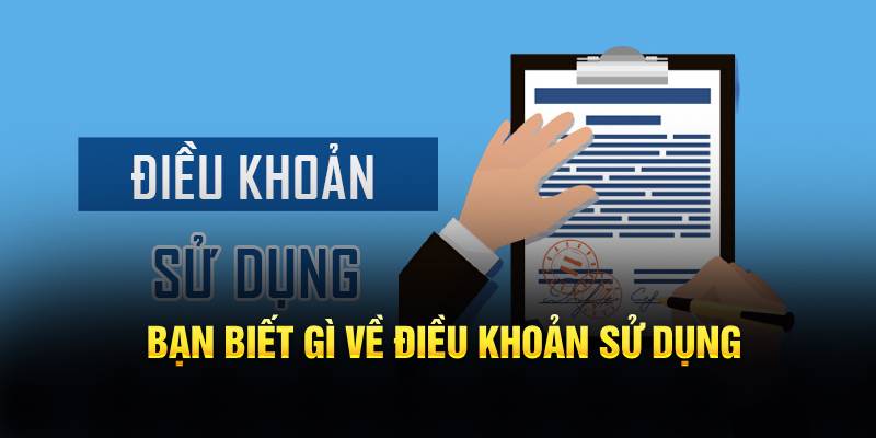 Bạn biết gì về điều khoản sử dụng